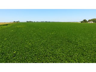 Property photo 6 - LAND AUCTION - 75+/- ACRES OFFERED IN 1 TRACT IN LAKE COUNTY, INDIANA